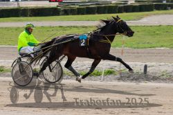 Dateiname=20251012_qu_037_QU1_0155.jpg
Dateigröße=317KB
Abmessungen: 1000x667
hinzugefügt am: 14. Oktober 2025 20251012_qu_037_QU1_0155.jpg