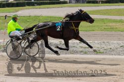 Dateiname=20251012_qu_038_QU1_0159.jpg
Dateigröße=320KB
Abmessungen: 1000x667
hinzugefügt am: 14. Oktober 2025 20251012_qu_038_QU1_0159.jpg