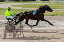 Dateiname=20251012_qu_039_QU1_0162.jpg
Dateigröße=311KB
Abmessungen: 1000x667
hinzugefügt am: 14. Oktober 2025 20251012_qu_039_QU1_0162.jpg