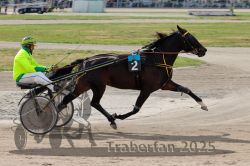 Dateiname=20251012_qu_040_QU1_0165.jpg
Dateigröße=294KB
Abmessungen: 1000x667
hinzugefügt am: 14. Oktober 2025 20251012_qu_040_QU1_0165.jpg