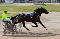 Dateiname=20251012_qu_041_QU1_0166.jpg
Dateigröße=280KB
Abmessungen: 1000x667
hinzugefügt am: 14. Oktober 2025 20251012_qu_041_QU1_0166.jpg