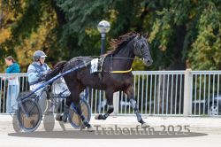 Dateiname=20251012_r01_002_R01_0007.jpg
Dateigröße=295KB
Abmessungen: 1000x667
hinzugefügt am: 14. Oktober 2025 20251012_r01_002_R01_0007.jpg