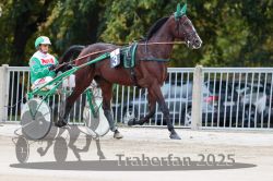 Dateiname=20251012_r01_004_R01_0017.jpg
Dateigröße=304KB
Abmessungen: 1000x667
hinzugefügt am: 14. Oktober 2025 20251012_r01_004_R01_0017.jpg