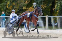 Dateiname=20251012_r01_005_R01_0022.jpg
Dateigröße=315KB
Abmessungen: 1000x667
hinzugefügt am: 14. Oktober 2025 20251012_r01_005_R01_0022.jpg