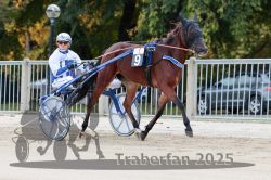 Dateiname=20251012_r01_006_R01_0030.jpg
Dateigröße=324KB
Abmessungen: 1000x667
hinzugefügt am: 14. Oktober 2025 20251012_r01_006_R01_0030.jpg