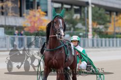 Dateiname=20251012_r01_007_R01_0033.jpg
Dateigröße=230KB
Abmessungen: 1000x667
hinzugefügt am: 14. Oktober 2025 20251012_r01_007_R01_0033.jpg