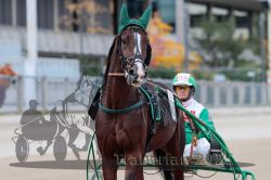 Dateiname=20251012_r01_009_R01_0041.jpg
Dateigröße=231KB
Abmessungen: 1000x667
hinzugefügt am: 14. Oktober 2025 20251012_r01_009_R01_0041.jpg