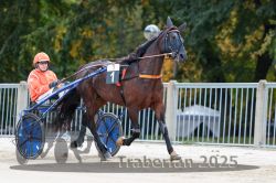 Dateiname=20251012_r01_010_R01_0044.jpg
Dateigröße=305KB
Abmessungen: 1000x667
hinzugefügt am: 14. Oktober 2025 20251012_r01_010_R01_0044.jpg