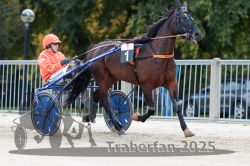 Dateiname=20251012_r01_011_R01_0052.jpg
Dateigröße=306KB
Abmessungen: 1000x667
hinzugefügt am: 14. Oktober 2025 20251012_r01_011_R01_0052.jpg