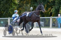 Dateiname=20251012_r01_013_R01_0056.jpg
Dateigröße=303KB
Abmessungen: 1000x667
hinzugefügt am: 14. Oktober 2025 20251012_r01_013_R01_0056.jpg