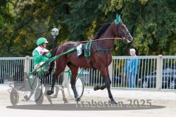 Dateiname=20251012_r01_014_R01_0062.jpg
Dateigröße=321KB
Abmessungen: 1000x667
hinzugefügt am: 14. Oktober 2025 20251012_r01_014_R01_0062.jpg