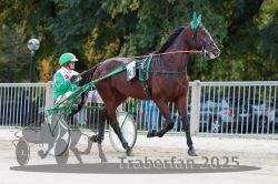 Dateiname=20251012_r01_015_R01_0066.jpg
Dateigröße=314KB
Abmessungen: 1000x667
hinzugefügt am: 14. Oktober 2025 20251012_r01_015_R01_0066.jpg