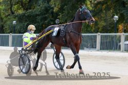 Dateiname=20251012_r01_017_R01_0081.jpg
Dateigröße=311KB
Abmessungen: 1000x667
hinzugefügt am: 14. Oktober 2025 20251012_r01_017_R01_0081.jpg