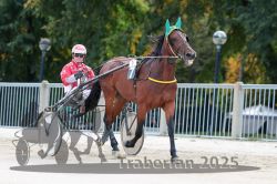 Dateiname=20251012_r01_018_R01_0083.jpg
Dateigröße=298KB
Abmessungen: 1000x667
hinzugefügt am: 14. Oktober 2025 20251012_r01_018_R01_0083.jpg