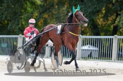 Dateiname=20251012_r01_019_R01_0087.jpg
Dateigröße=302KB
Abmessungen: 1000x667
hinzugefügt am: 14. Oktober 2025 20251012_r01_019_R01_0087.jpg