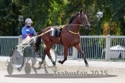 Dateiname=20251012_r01_020_R01_0094.jpg
Dateigröße=311KB
Abmessungen: 1000x667
hinzugefügt am: 14. Oktober 2025 20251012_r01_020_R01_0094.jpg