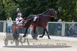 Dateiname=20251012_r01_026_R01_0121.jpg
Dateigröße=315KB
Abmessungen: 1000x667
hinzugefügt am: 14. Oktober 2025 20251012_r01_026_R01_0121.jpg