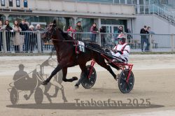 Dateiname=20251012_r01_078_R01_0269.jpg
Dateigröße=291KB
Abmessungen: 1000x667
hinzugefügt am: 14. Oktober 2025 20251012_r01_078_R01_0269.jpg