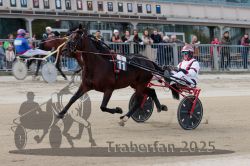 Dateiname=20251012_r01_080_R01_0273.jpg
Dateigröße=303KB
Abmessungen: 1000x667
hinzugefügt am: 14. Oktober 2025 20251012_r01_080_R01_0273.jpg