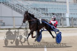 Dateiname=20251012_r01_094_R01_0303.jpg
Dateigröße=269KB
Abmessungen: 1000x667
hinzugefügt am: 14. Oktober 2025 20251012_r01_094_R01_0303.jpg