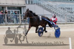 Dateiname=20251012_r01_095_R01_0307.jpg
Dateigröße=286KB
Abmessungen: 1000x667
hinzugefügt am: 14. Oktober 2025 20251012_r01_095_R01_0307.jpg