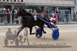 Dateiname=20251012_r01_097_R01_0314.jpg
Dateigröße=292KB
Abmessungen: 1000x667
hinzugefügt am: 14. Oktober 2025 20251012_r01_097_R01_0314.jpg