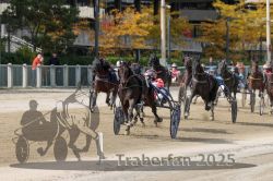 Dateiname=20251012_r01_147_R01_0496.jpg
Dateigröße=339KB
Abmessungen: 1000x667
hinzugefügt am: 14. Oktober 2025 20251012_r01_147_R01_0496.jpg