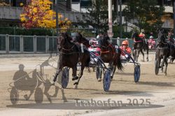 Dateiname=20251012_r01_150_R01_0505.jpg
Dateigröße=354KB
Abmessungen: 1000x667
hinzugefügt am: 14. Oktober 2025 20251012_r01_150_R01_0505.jpg