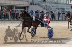 Dateiname=20251012_r01_159_R01_0528.jpg
Dateigröße=311KB
Abmessungen: 1000x667
hinzugefügt am: 14. Oktober 2025 20251012_r01_159_R01_0528.jpg