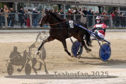 Dateiname=20251012_r01_161_R01_0534.jpg
Dateigröße=318KB
Abmessungen: 1000x667
hinzugefügt am: 14. Oktober 2025 20251012_r01_161_R01_0534.jpg