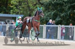 Dateiname=20251012_r02_001_R02_0005.jpg
Dateigröße=308KB
Abmessungen: 1000x667
hinzugefügt am: 14. Oktober 2025 20251012_r02_001_R02_0005.jpg