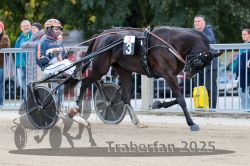 Dateiname=20251012_r02_004_R02_0019.jpg
Dateigröße=322KB
Abmessungen: 1000x667
hinzugefügt am: 14. Oktober 2025 20251012_r02_004_R02_0019.jpg