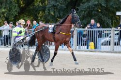 Dateiname=20251012_r02_005_R02_0023.jpg
Dateigröße=324KB
Abmessungen: 1000x667
hinzugefügt am: 14. Oktober 2025 20251012_r02_005_R02_0023.jpg