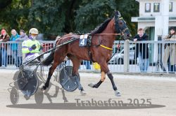 Dateiname=20251012_r02_006_R02_0028.jpg
Dateigröße=315KB
Abmessungen: 1000x667
hinzugefügt am: 14. Oktober 2025 20251012_r02_006_R02_0028.jpg