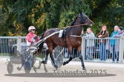 Dateiname=20251012_r02_008_R02_0034.jpg
Dateigröße=339KB
Abmessungen: 1000x667
hinzugefügt am: 14. Oktober 2025 20251012_r02_008_R02_0034.jpg