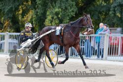 Dateiname=20251012_r02_009_R02_0041.jpg
Dateigröße=328KB
Abmessungen: 1000x667
hinzugefügt am: 14. Oktober 2025 20251012_r02_009_R02_0041.jpg