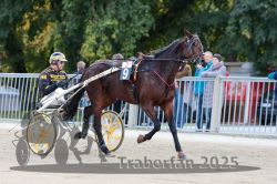 Dateiname=20251012_r02_010_R02_0042.jpg
Dateigröße=315KB
Abmessungen: 1000x667
hinzugefügt am: 14. Oktober 2025 20251012_r02_010_R02_0042.jpg