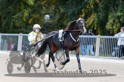 Dateiname=20251012_r02_011_R02_0047.jpg
Dateigröße=306KB
Abmessungen: 1000x667
hinzugefügt am: 14. Oktober 2025 20251012_r02_011_R02_0047.jpg