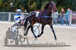 Dateiname=20251012_r02_014_R02_0060.jpg
Dateigröße=315KB
Abmessungen: 1000x667
hinzugefügt am: 14. Oktober 2025 20251012_r02_014_R02_0060.jpg