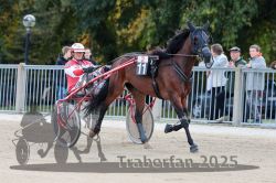 Dateiname=20251012_r02_015_R02_0067.jpg
Dateigröße=314KB
Abmessungen: 1000x667
hinzugefügt am: 14. Oktober 2025 20251012_r02_015_R02_0067.jpg