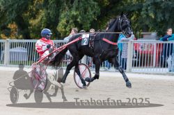 Dateiname=20251012_r02_018_R02_0081.jpg
Dateigröße=315KB
Abmessungen: 1000x667
hinzugefügt am: 14. Oktober 2025 20251012_r02_018_R02_0081.jpg