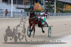 Dateiname=20251012_r02_020_R02_0083.jpg
Dateigröße=283KB
Abmessungen: 1000x667
hinzugefügt am: 14. Oktober 2025 20251012_r02_020_R02_0083.jpg