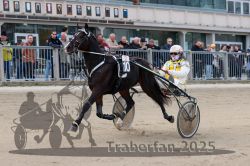 Dateiname=20251012_r02_041_R02_0148.jpg
Dateigröße=308KB
Abmessungen: 1000x667
hinzugefügt am: 14. Oktober 2025 20251012_r02_041_R02_0148.jpg