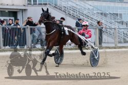 Dateiname=20251012_r02_042_R02_0150.jpg
Dateigröße=286KB
Abmessungen: 1000x667
hinzugefügt am: 14. Oktober 2025 20251012_r02_042_R02_0150.jpg