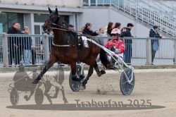 Dateiname=20251012_r02_043_R02_0153.jpg
Dateigröße=284KB
Abmessungen: 1000x667
hinzugefügt am: 14. Oktober 2025 20251012_r02_043_R02_0153.jpg