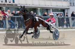 Dateiname=20251012_r02_044_R02_0154.jpg
Dateigröße=273KB
Abmessungen: 1000x667
hinzugefügt am: 14. Oktober 2025 20251012_r02_044_R02_0154.jpg