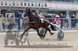 Dateiname=20251012_r02_045_R02_0157.jpg
Dateigröße=296KB
Abmessungen: 1000x667
hinzugefügt am: 14. Oktober 2025 20251012_r02_045_R02_0157.jpg