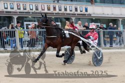 Dateiname=20251012_r02_046_R02_0158.jpg
Dateigröße=298KB
Abmessungen: 1000x667
hinzugefügt am: 14. Oktober 2025 20251012_r02_046_R02_0158.jpg