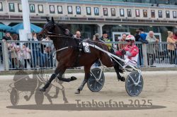 Dateiname=20251012_r02_048_R02_0162.jpg
Dateigröße=303KB
Abmessungen: 1000x667
hinzugefügt am: 14. Oktober 2025 20251012_r02_048_R02_0162.jpg