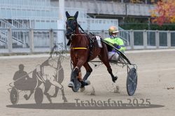 Dateiname=20251012_r02_052_R02_0168.jpg
Dateigröße=270KB
Abmessungen: 1000x667
hinzugefügt am: 14. Oktober 2025 20251012_r02_052_R02_0168.jpg